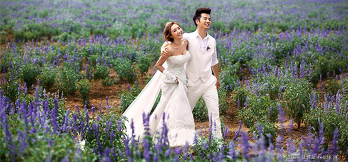 上海婚纱摄影哪里好 上海婚纱摄影外景有哪些