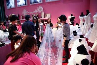 第27届上海国际婚纱摄影器材展览会欢迎大家光临