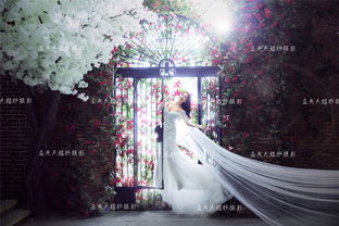 公主嫁纱 盐城金夫人婚纱摄影精品折扣 wed114结婚网