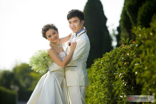 上海蔚蓝海岸婚纱摄影体验 真实点评与用户反馈